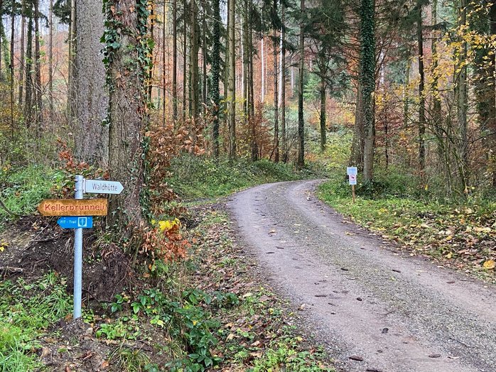 Waldhütte Fislisbach, Bild 30 / 30