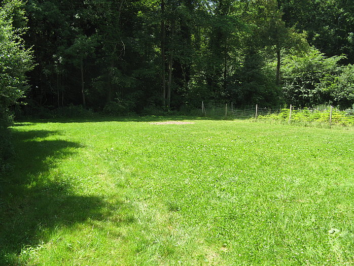 Forsthaus Kirschner, Bild 25 / 25