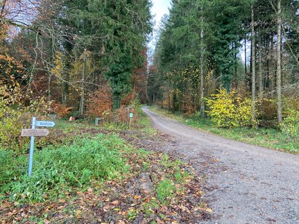 Waldhütte Fislisbach, Bild #29