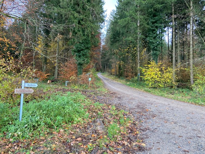 Waldhütte Fislisbach, Bild 29 / 30